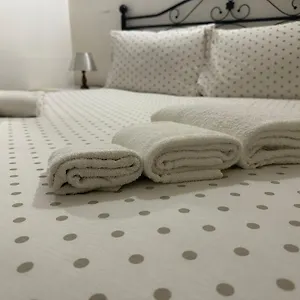 2 Passi Dal Mare Di Ampio Trilocale Alassio